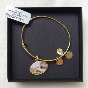 Alex and Ani bracelet